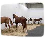 Homage to Jannis Kounellis / Untitled (12 Horses)